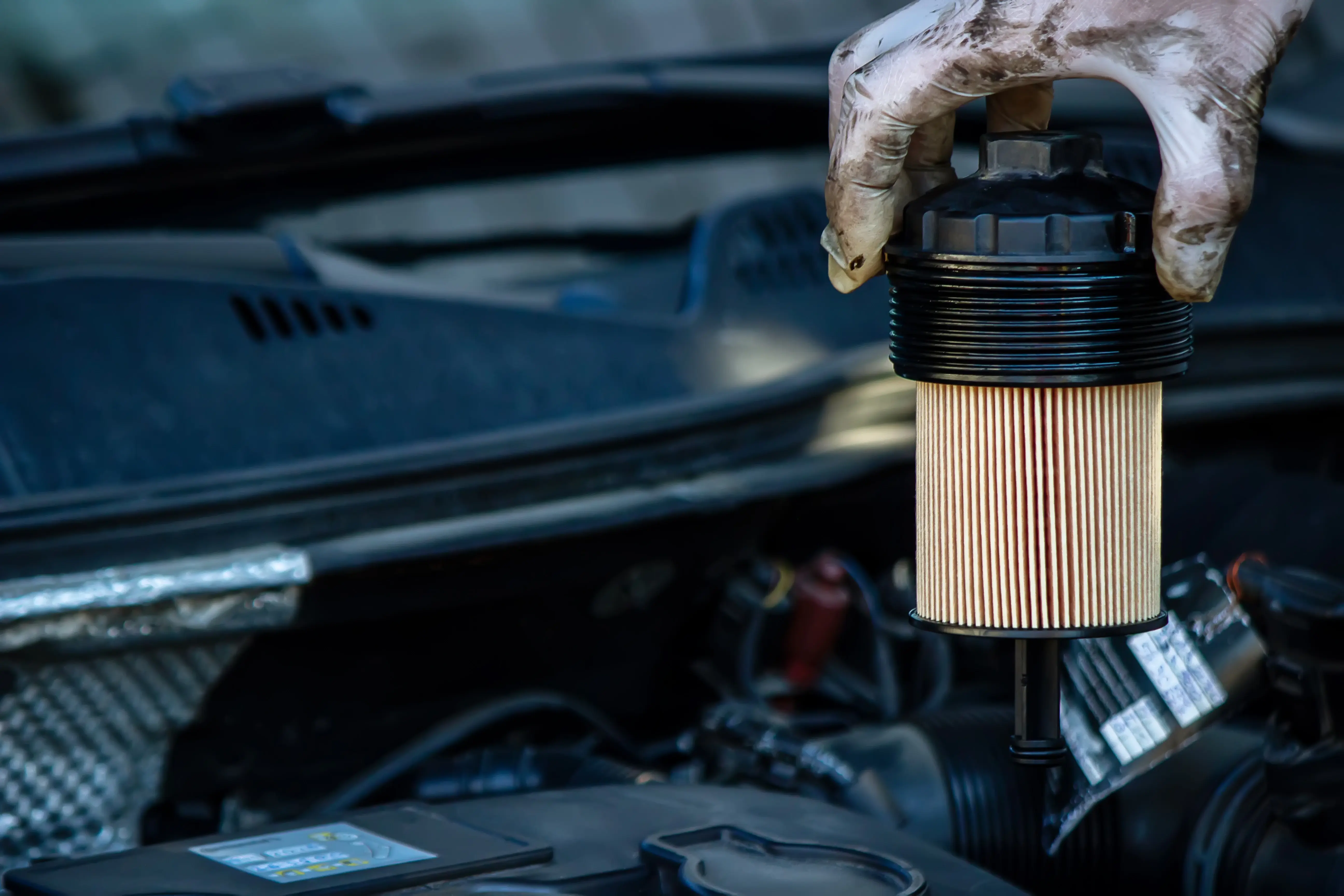 Auto Oil Filters