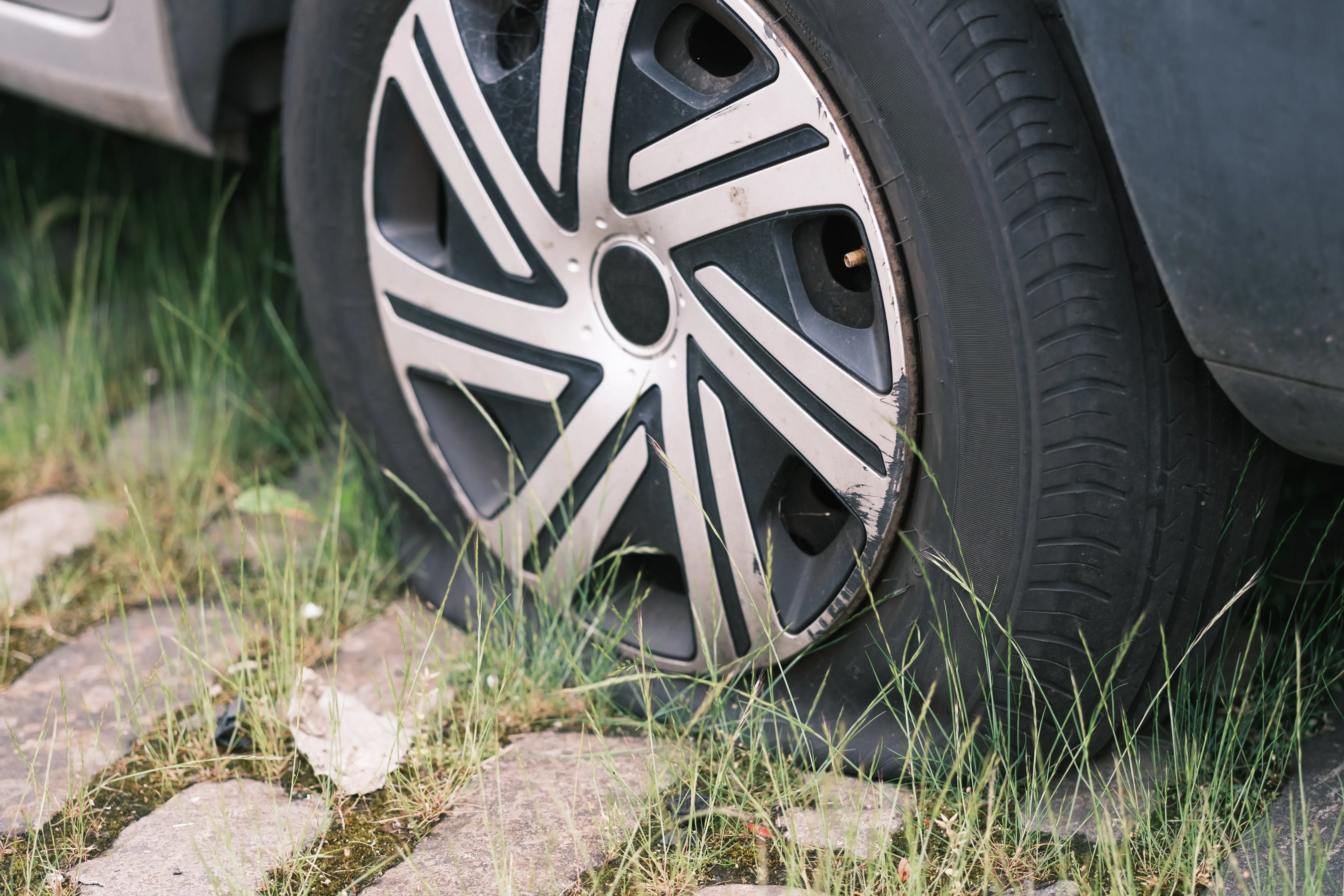 Overgrown Abandoned Car 2026 01 07 00 43 51 Utc Are Run Flat Tires Repairable