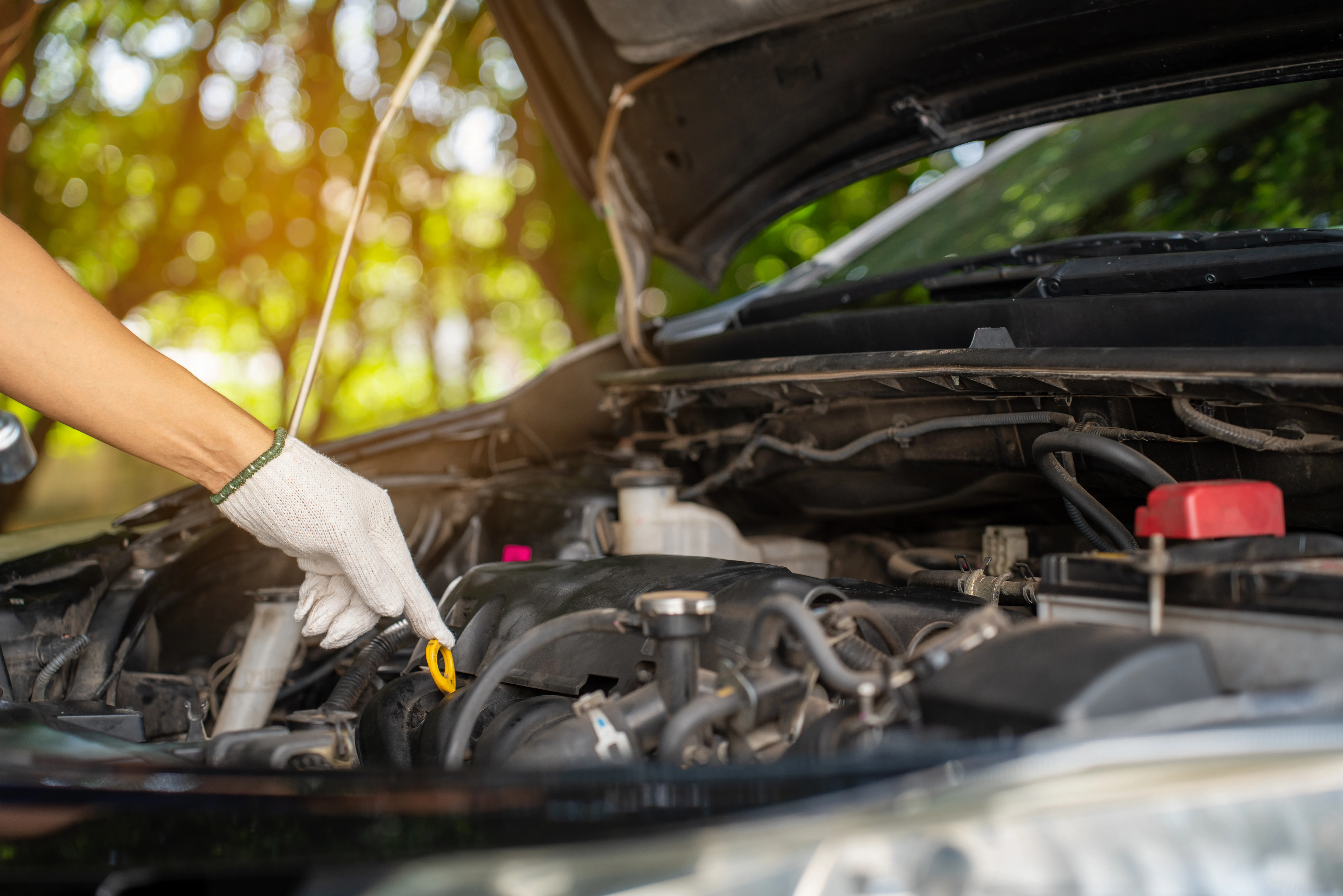 When To Get An Oil Change On New Car