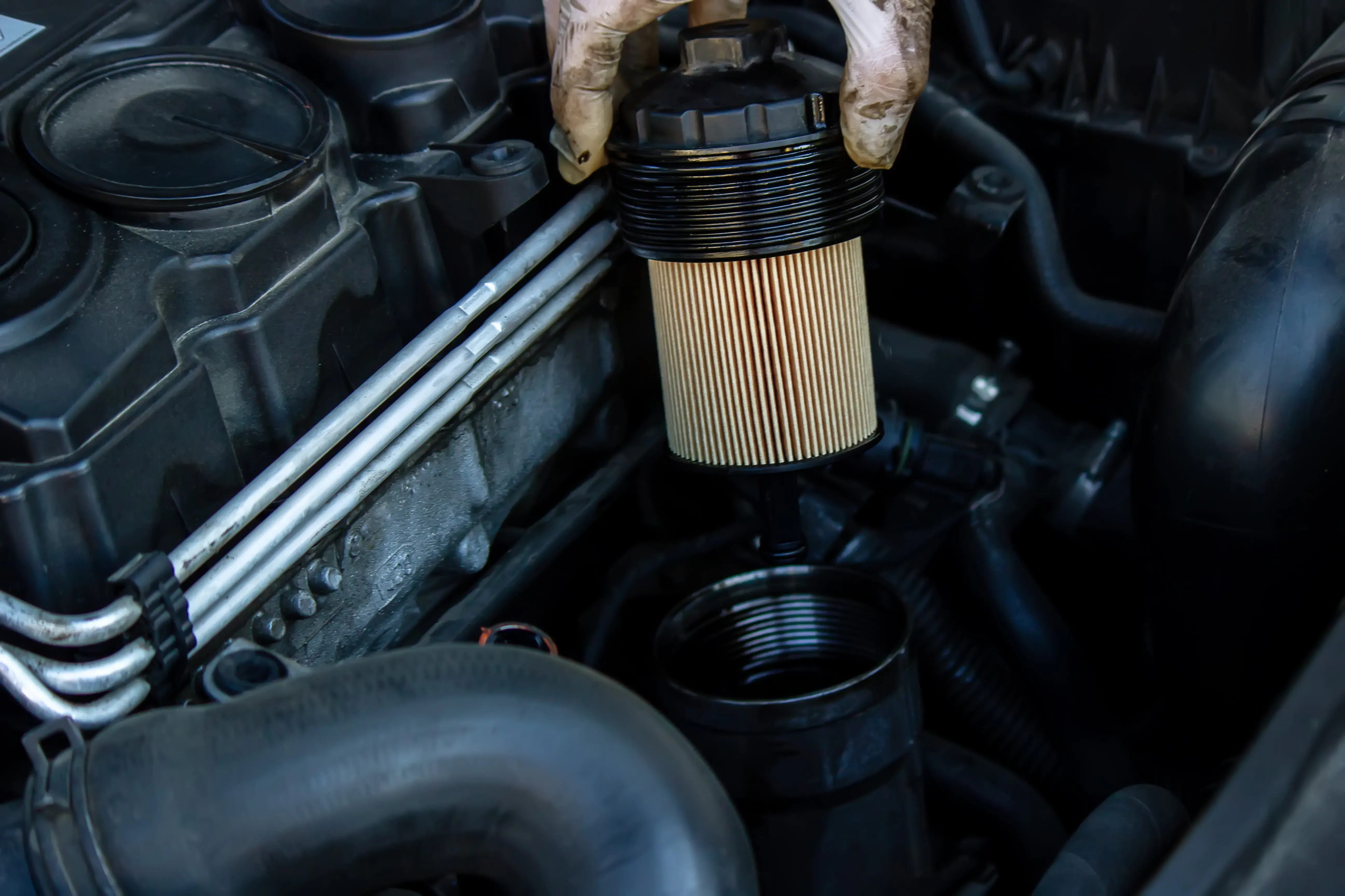 What Oil Filter Do I Need
