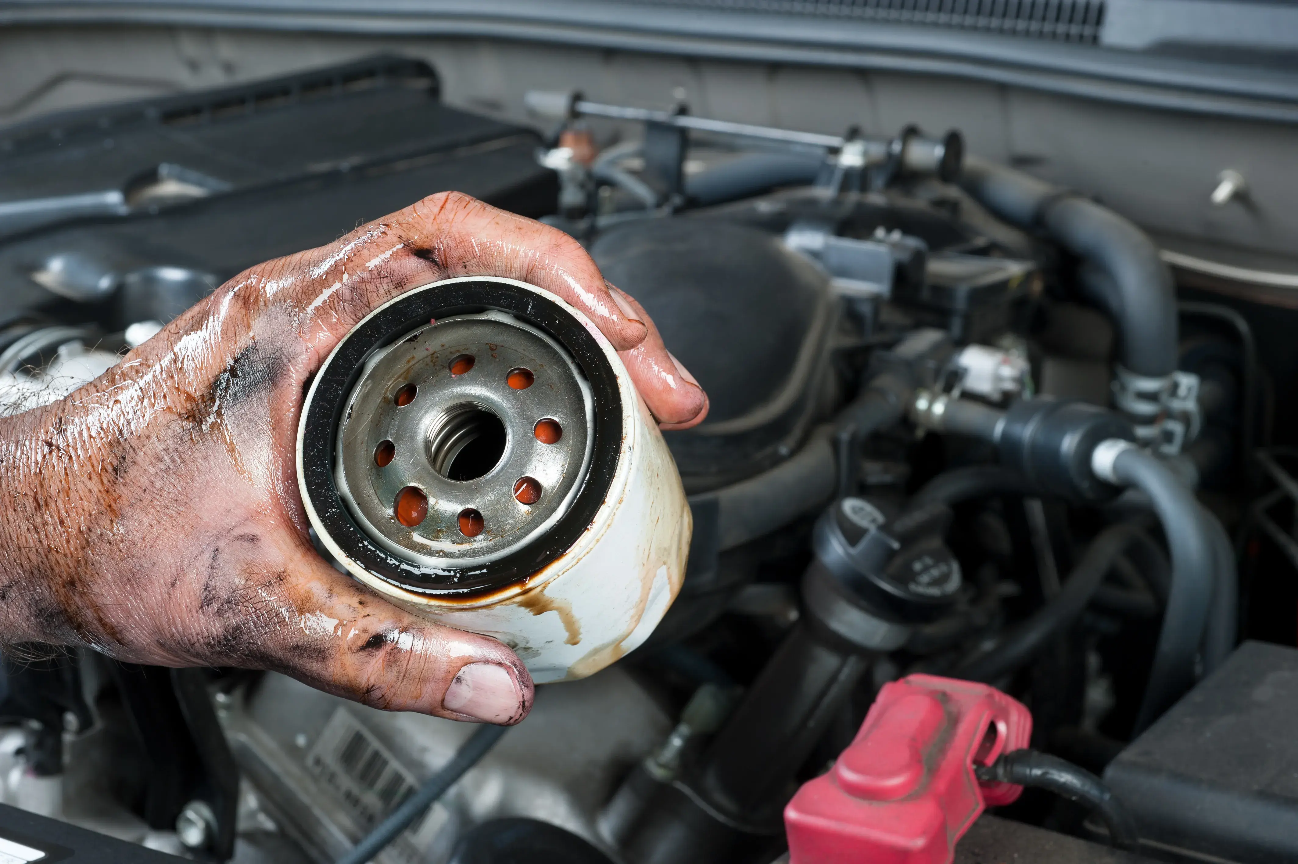 What Oil Filter Do I Need